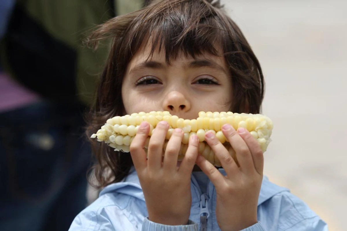 1.Unesco_a peruvian corn