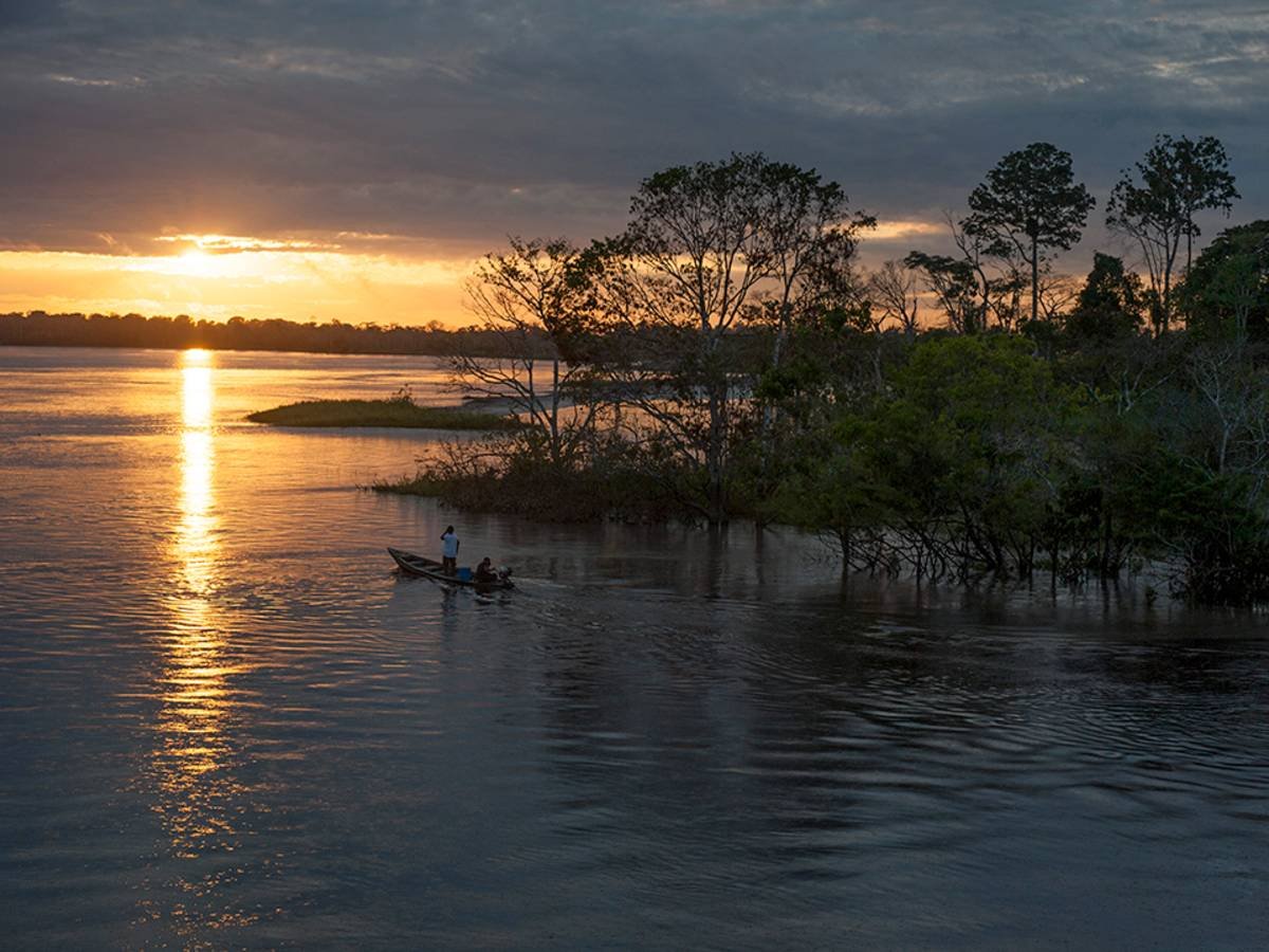 3.amazon_jungle_Tambopata dawn_tati 6.Amazon - Landscapes - 01