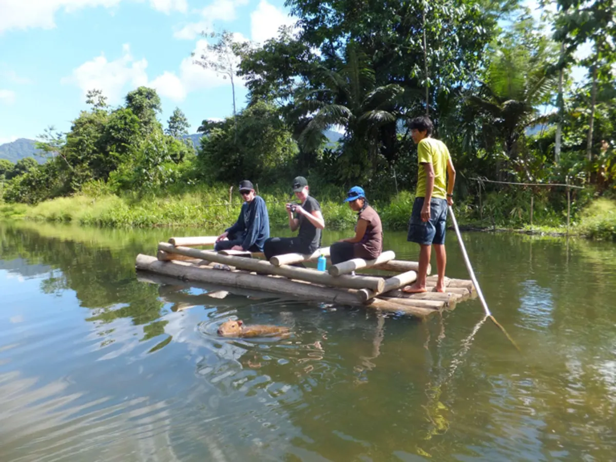 Balsa_rafts_on_the_lake_pantiacolla